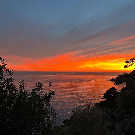 ⭑ Sea Views + Private Beach. What Else? ⭑ Тоса-де-Мар Екстер'єр фото